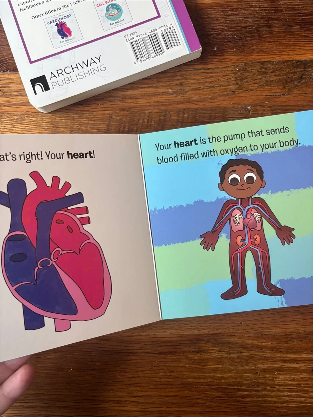 Little Doctors Neurology and cardiology for Babies Board Book - Multicolor
